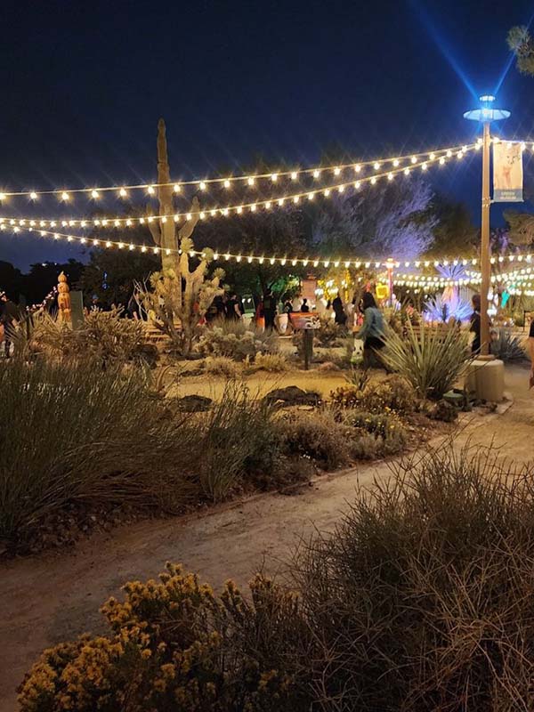 Emerald Suites Cameron | Extended Stay Rentals in Las Vegas, NV | Visit the Springs Preserve